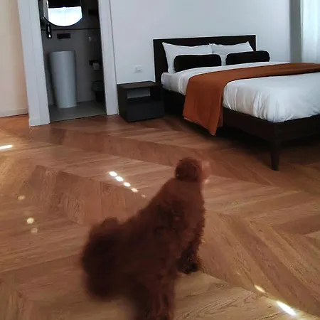 Casa O'tama Apartament